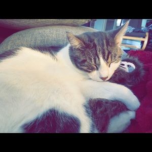 Meet your Posher, Chelsie